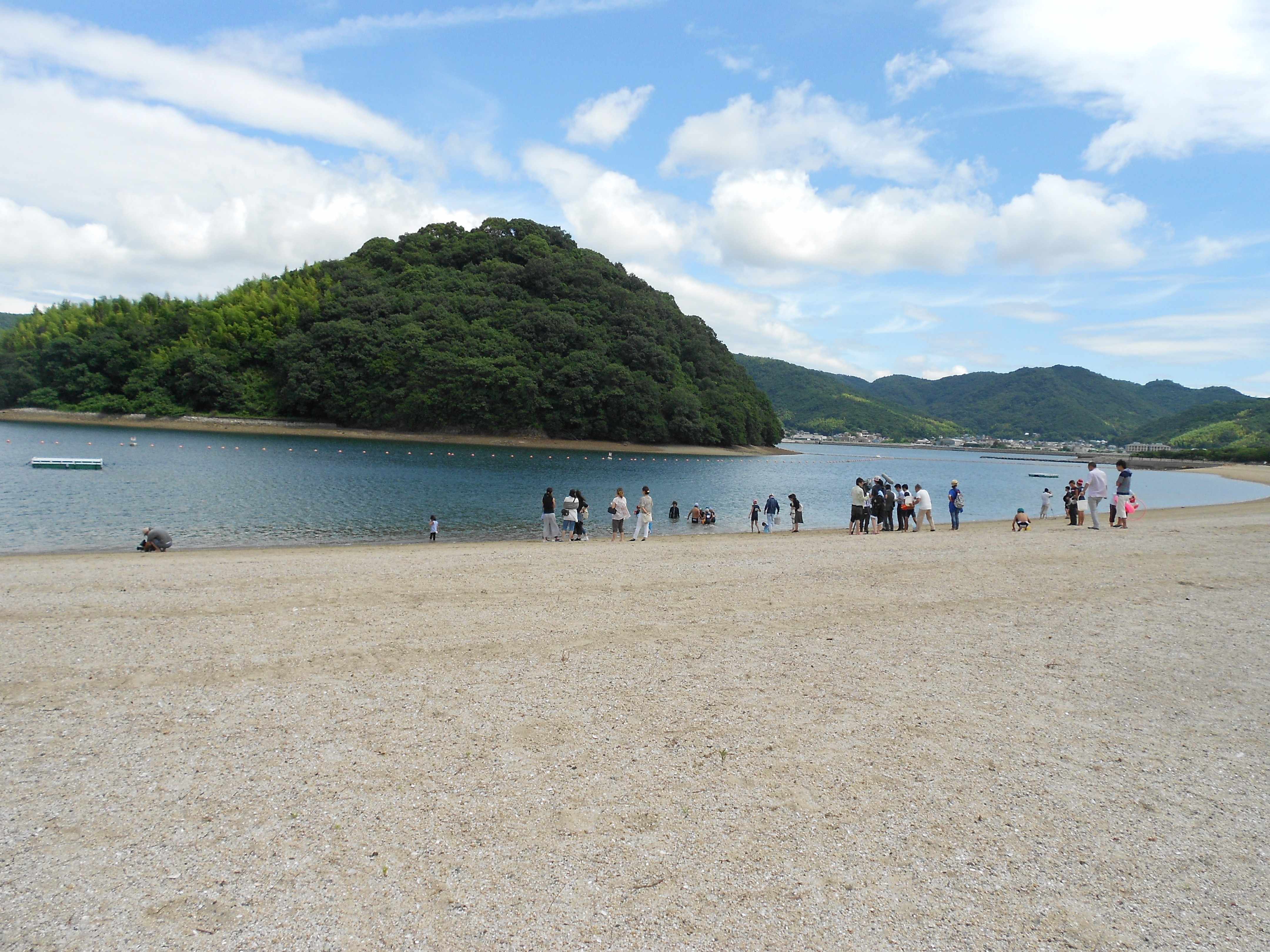 🏖️ 크레센트 비치 해빈공원 이미지 6